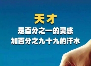 英雄联盟总决赛直播-比分的背后蕴含着巨大的努力