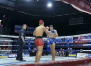 LOL决赛-场面火爆！拳击观众席沸腾不已的简单介绍