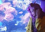 英雄联盟总决赛时间-马克西爆发破天际，黄蜂诡异节奏锁死十一冠王，这场胜利为何无法复制？