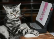 英雄联盟总决赛-美加墨前哨战，曼联击溃亚特兰大，一场跨越大西洋的足球宣言