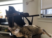 英雄联盟总决赛时间-术的穷途，道的生门，乌克兰奥运关键战以整体哲学完成对毕尔巴鄂的战术压制