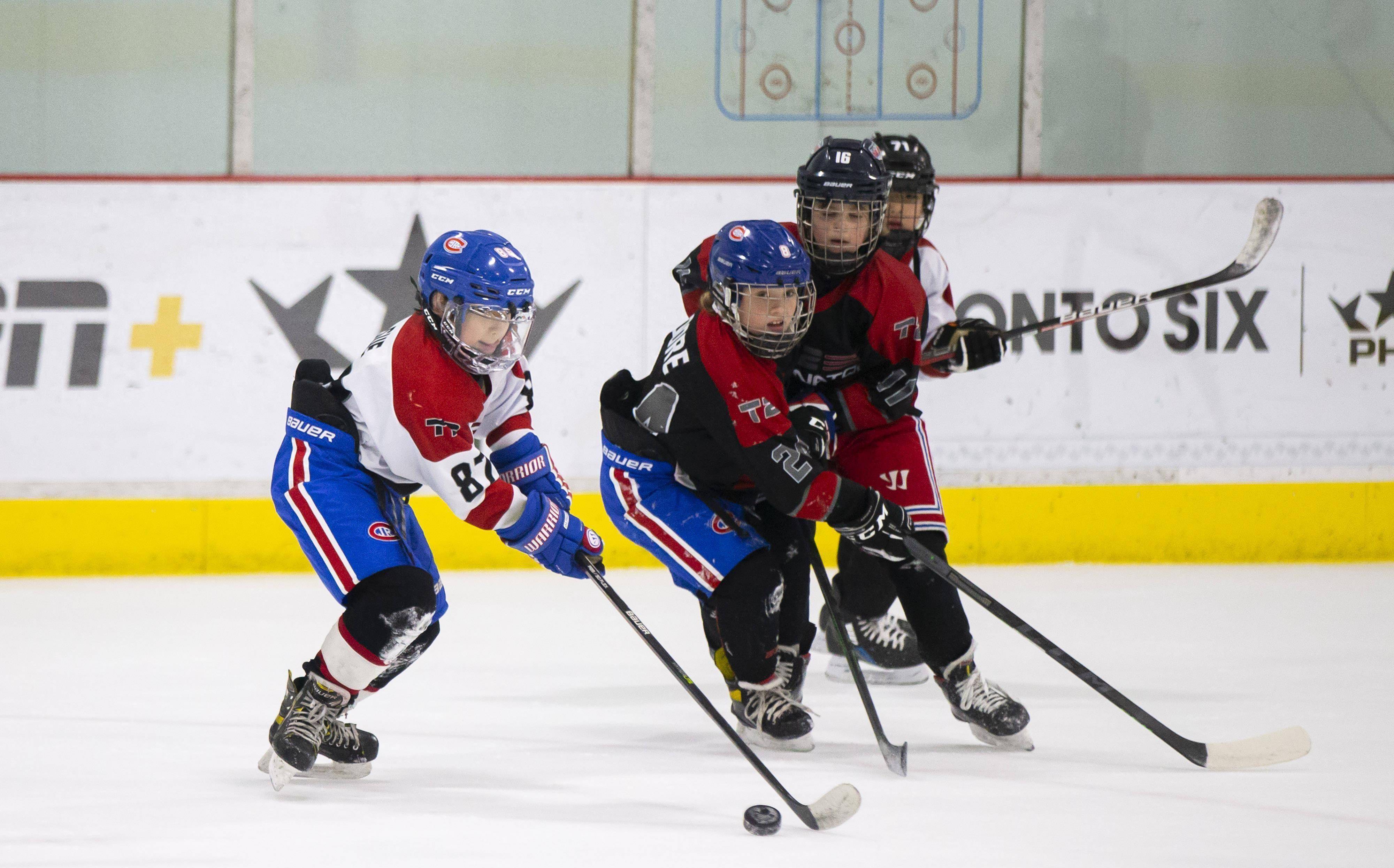 奥地利队在冰球比赛中击败对手 奥地利队在冰球比赛中击败对手