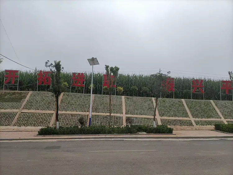 法兰克福险胜,新帅擘画未来蓝图的简单介绍 法兰克福险胜,新帅擘画未来蓝图的简单介绍