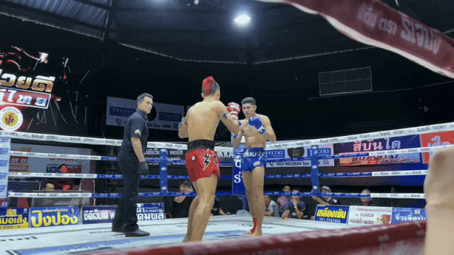 场面火爆!拳击观众席沸腾不已的简单介绍 场面火爆!拳击观众席沸腾不已的简单介绍