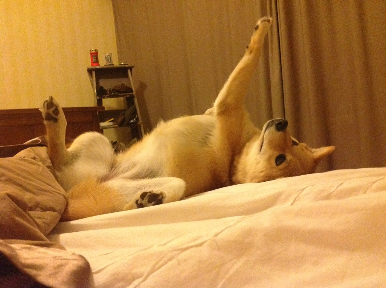 扩展思维后的文章标题