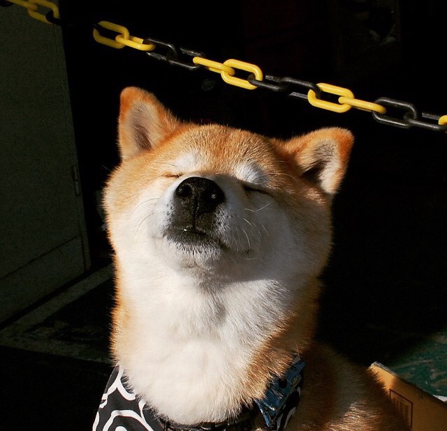 相隔二十年的两次逆转，定义了NBA最硬核的夺冠真理