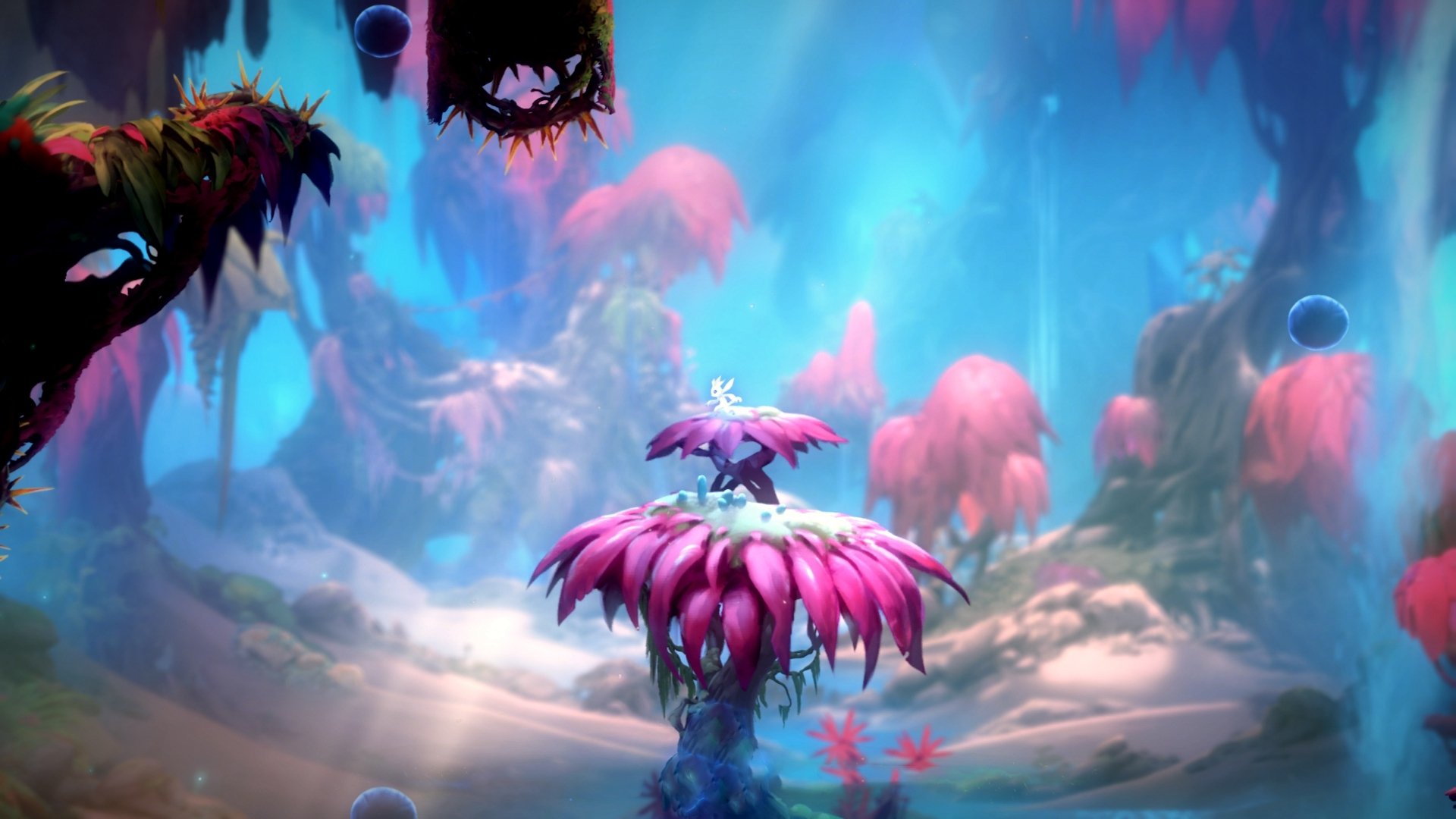 从溢价合同到关键先生，范弗利特一箭穿心，独行侠险胜掘金见证蜕变