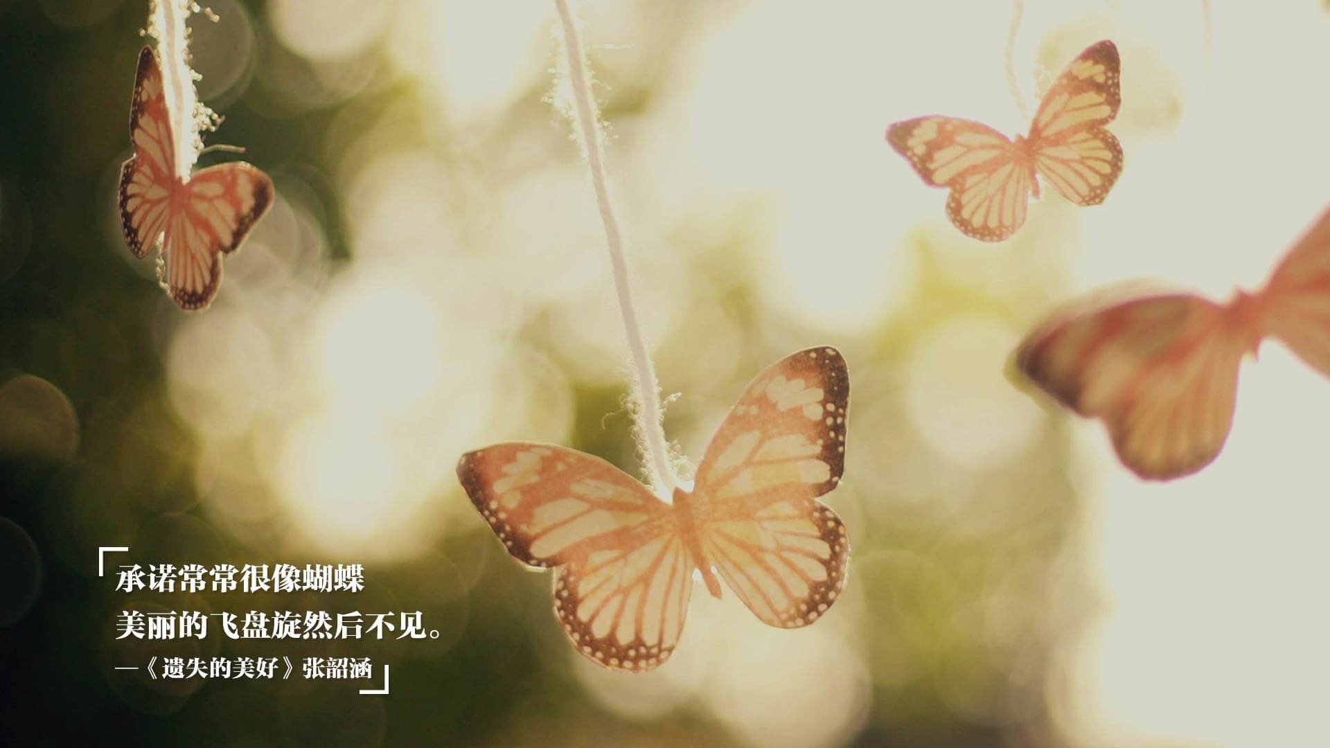 数据革命,当阿克数据揭开体育新纪元,奥地利如何掀翻皇家社会?