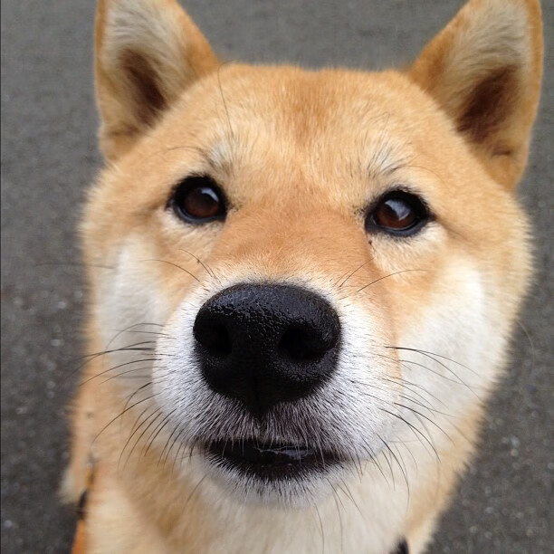 末节接管，从瑞士到西决，胜利者的独奏时刻