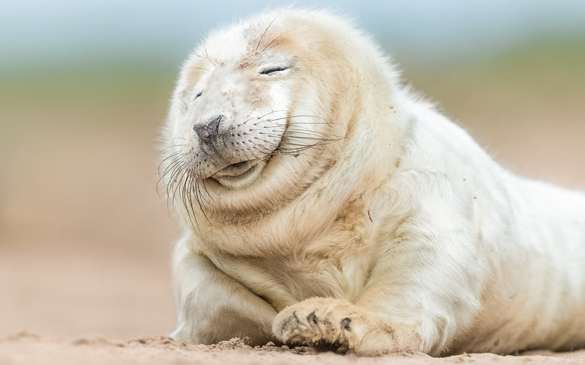 勇士体系崩溃夜!西亚卡姆一夫当关,单枪匹马击溃王朝底蕴