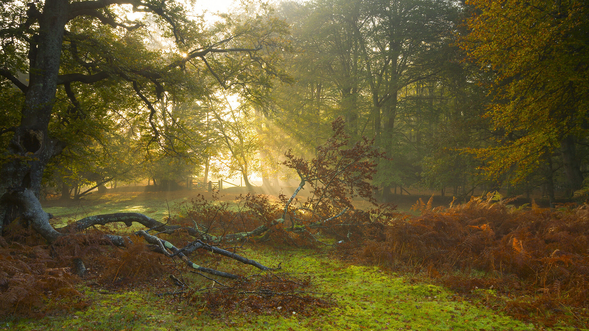 欧冠淘汰赛焦点战,智利劲旅淘汰威尔士,南美风暴席卷欧洲