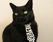 浙江队狂飙突进,恩比德统治力觉醒,巨星闪耀时刻