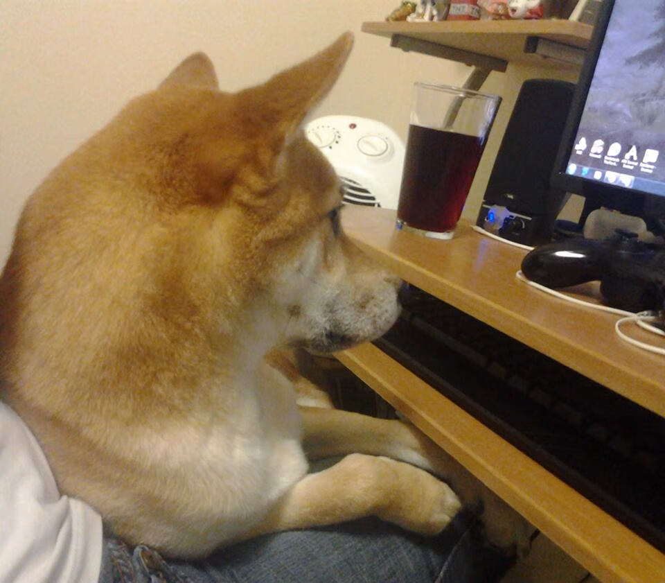 绿茵魔法师,欧冠巅峰夜与开拓者的启示