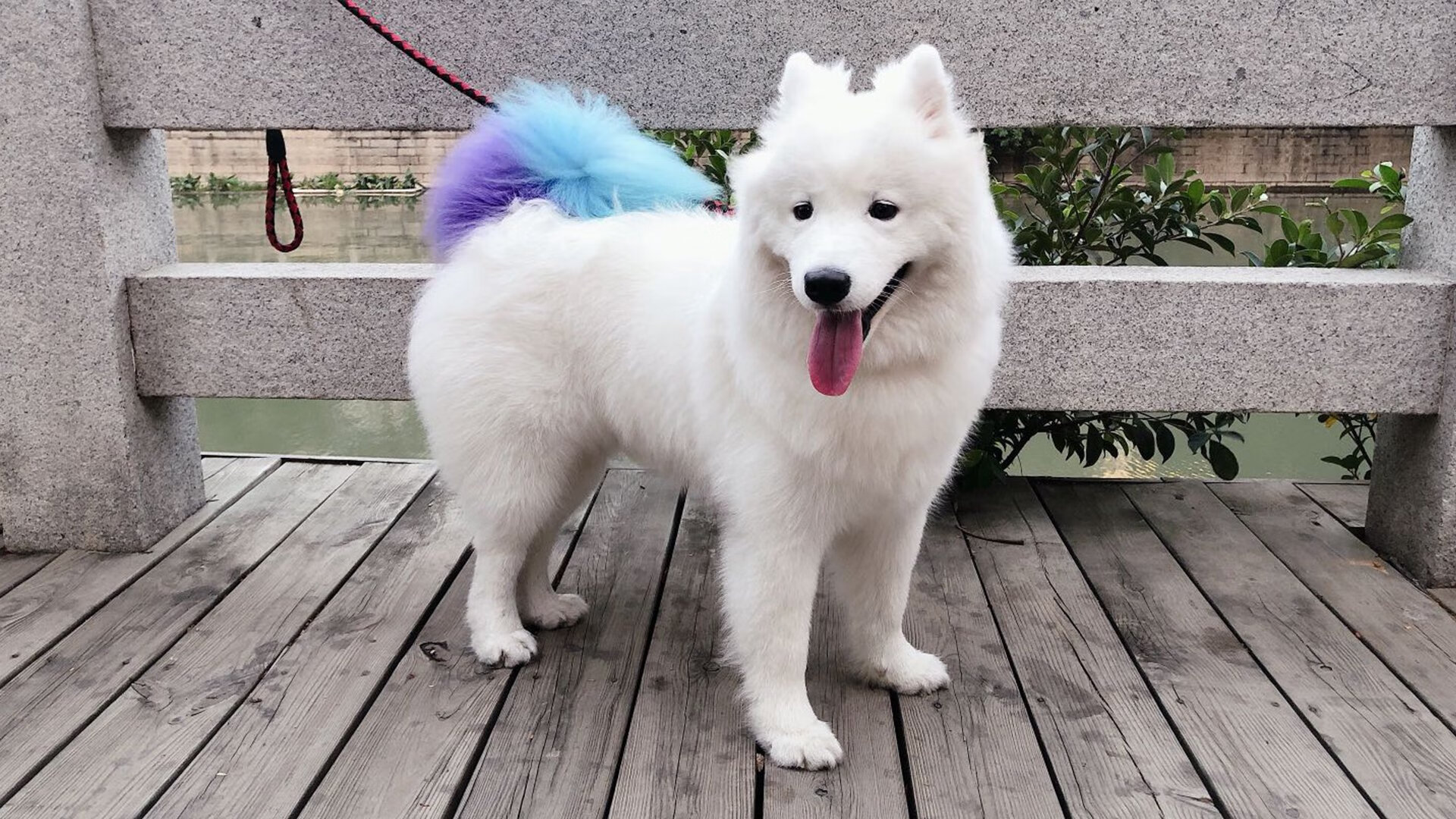 绿茵交响诗,当卡马文加以一己之力重写哥伦比亚对阵玻利维亚的叙事